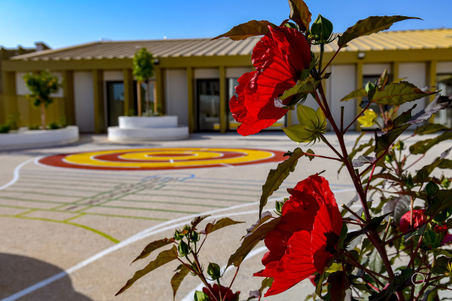 GROUPE SCOLAIRE JULES FERRY - LA VALETTE - BLOC PAYSAGE